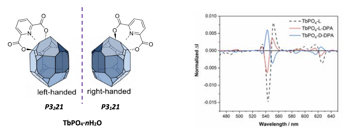 Figure : TbPO4 nanocrystals capped with dipicolinic acid and related circularly polarized luminescence spectra